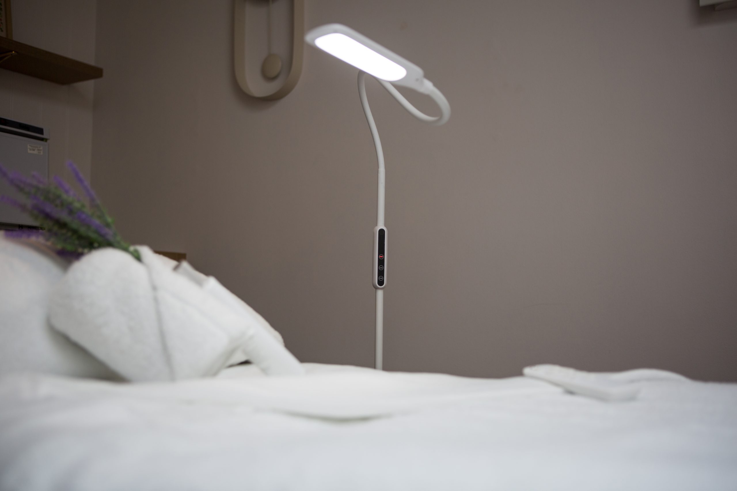 Lumina Floor Lamp - Image 5