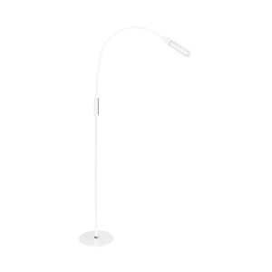 Lumina Floor Lamp
