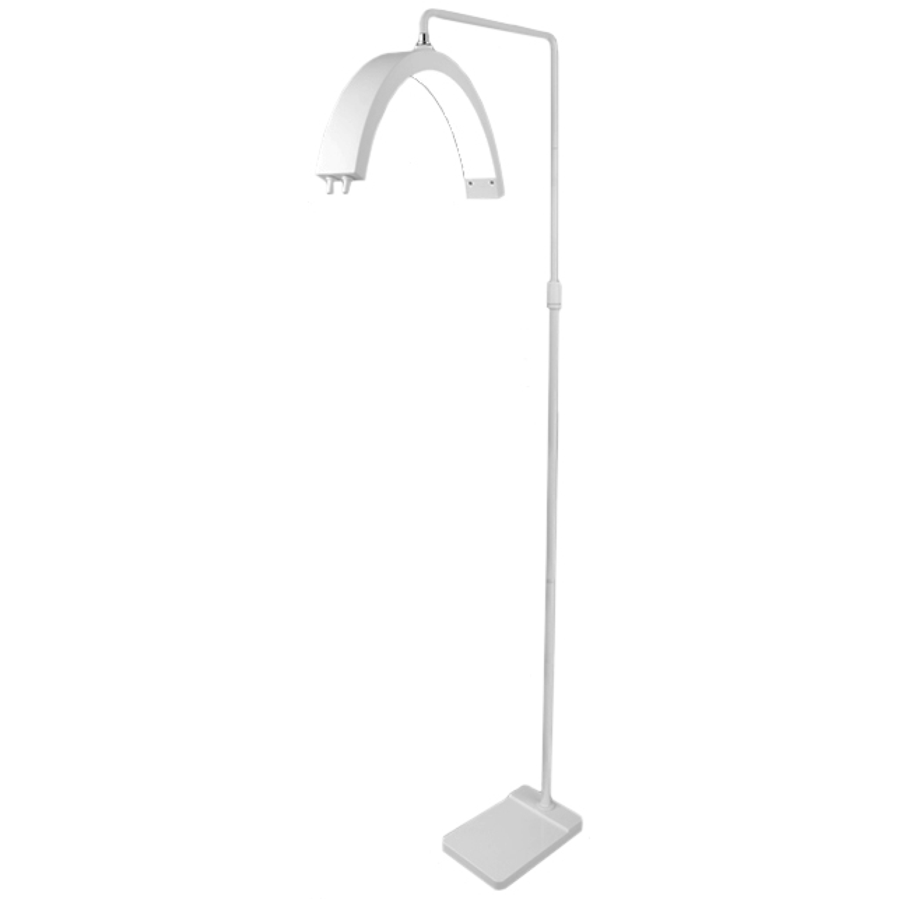 Beauty Curve Floor Lamp