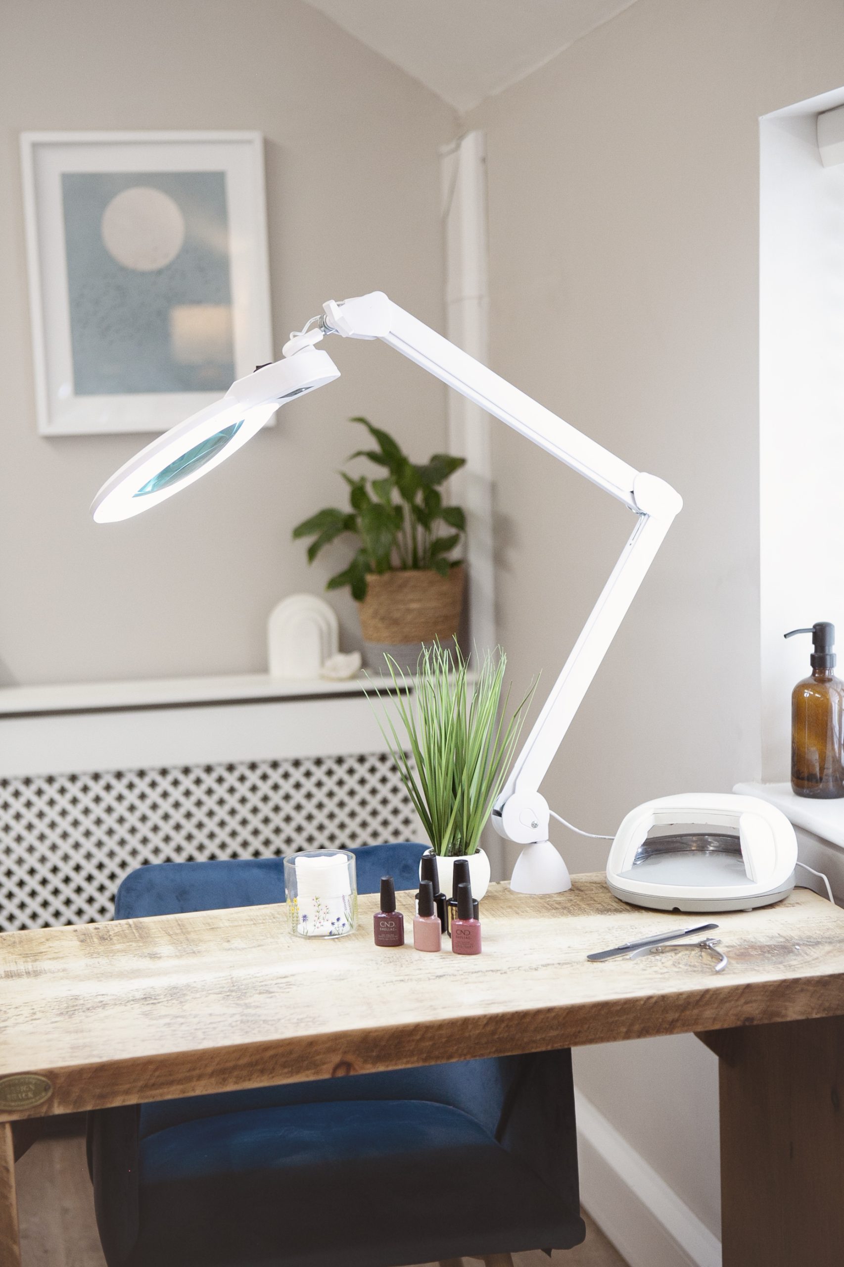 Chameleon Magnifier Lamp - Image 2