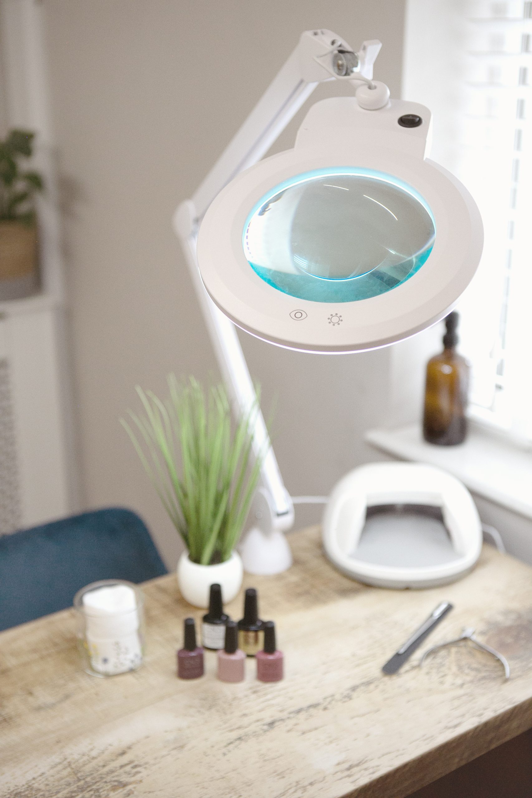 Chameleon Magnifier Lamp - Image 4