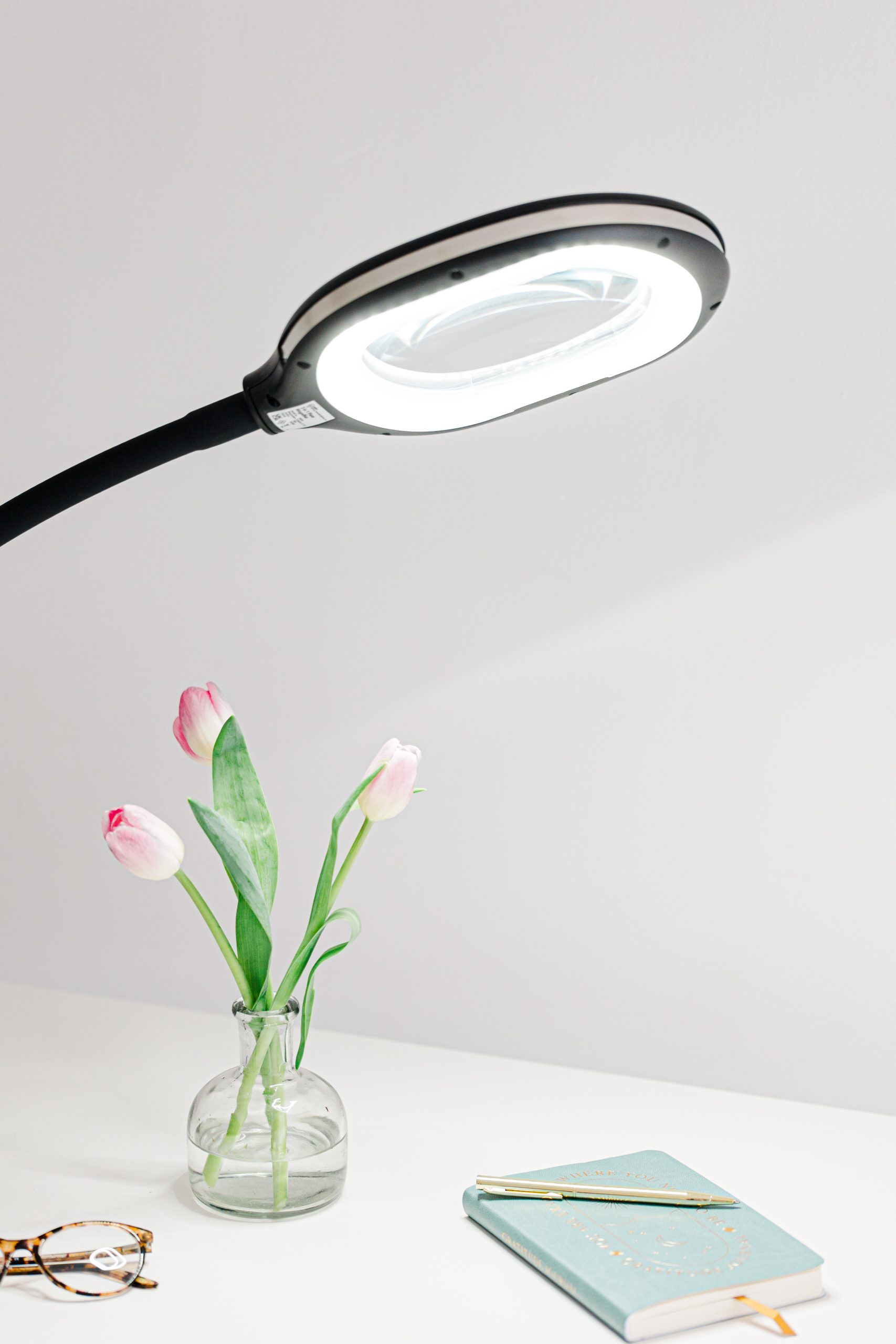 3-in-1 Floor Standing Magnifier - Image 4