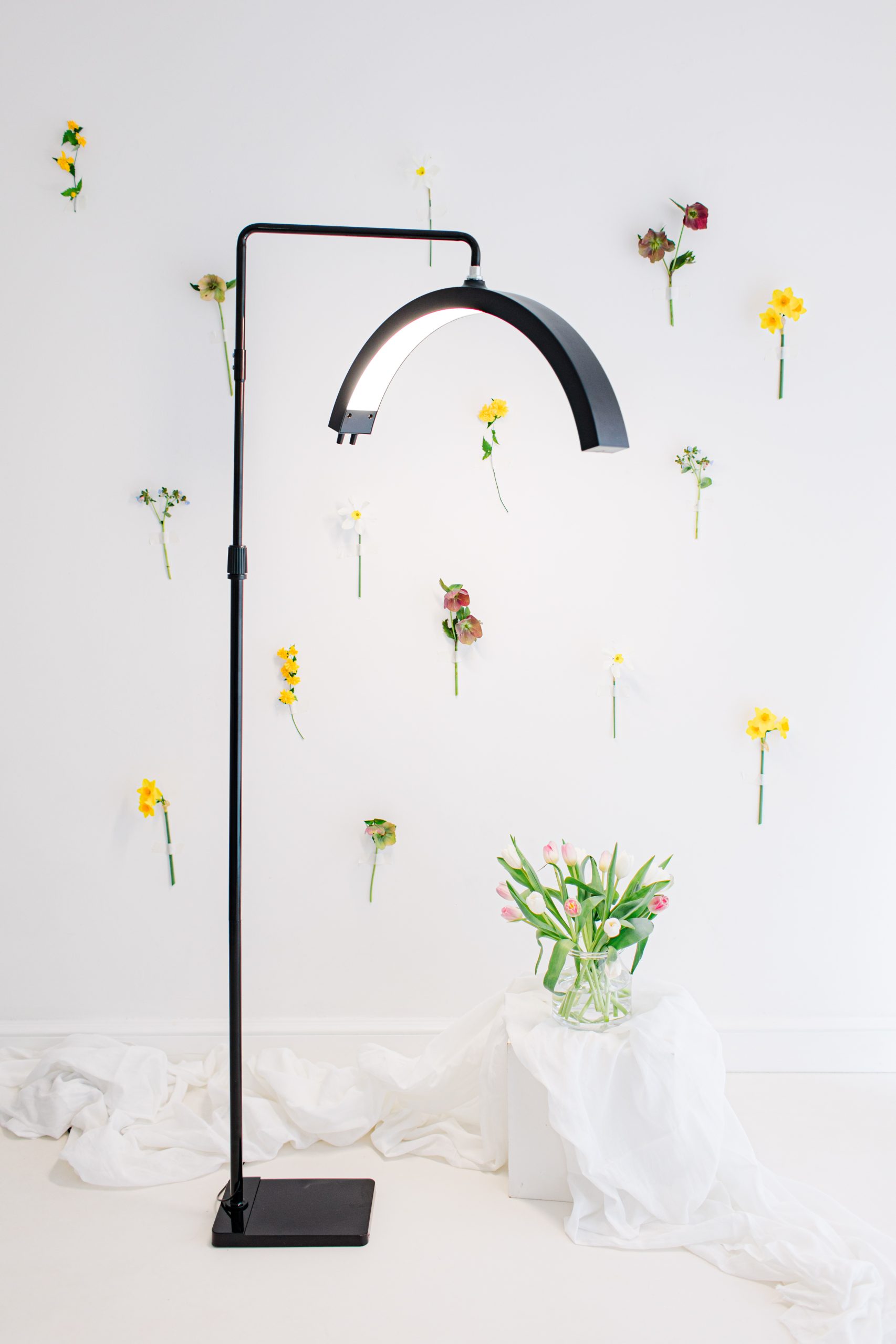 Beauty Curve Floor Lamp - Image 2