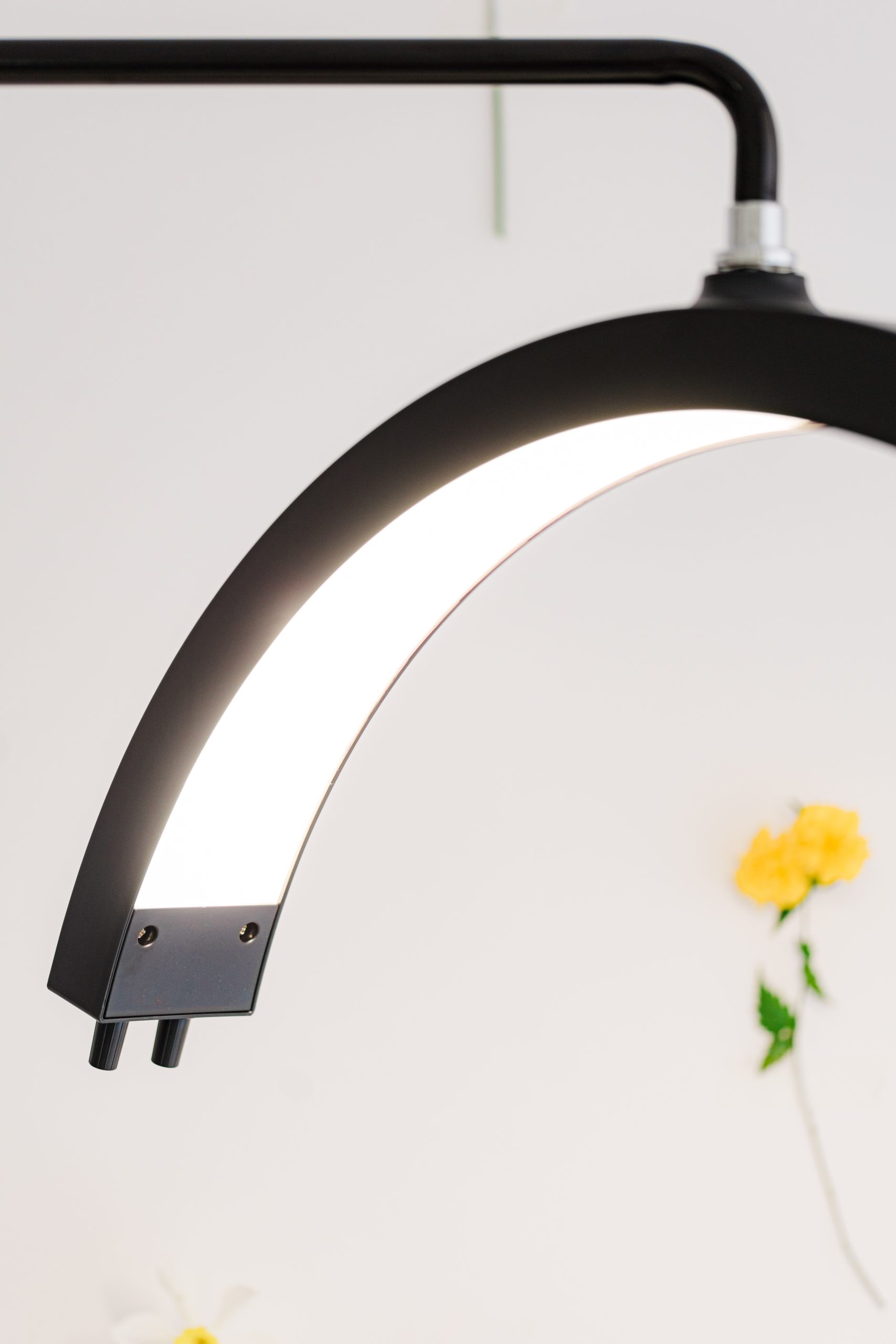 Beauty Curve Floor Lamp - Image 4