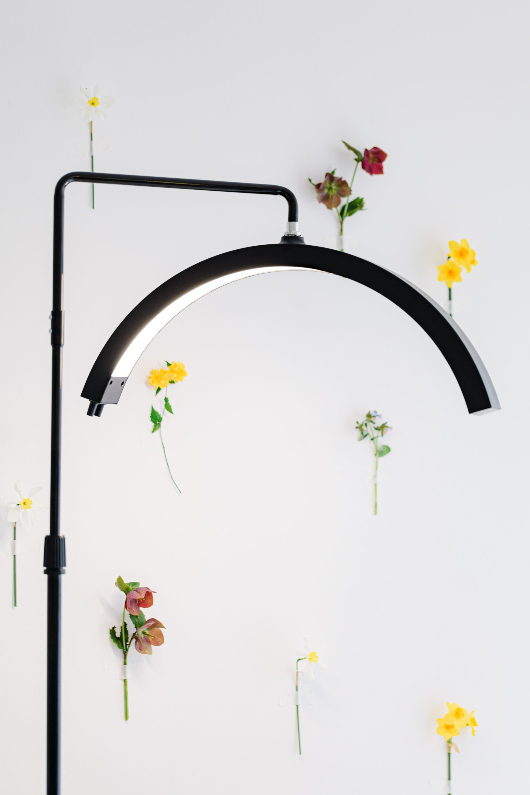 Beauty Curve Floor Lamp - Image 3