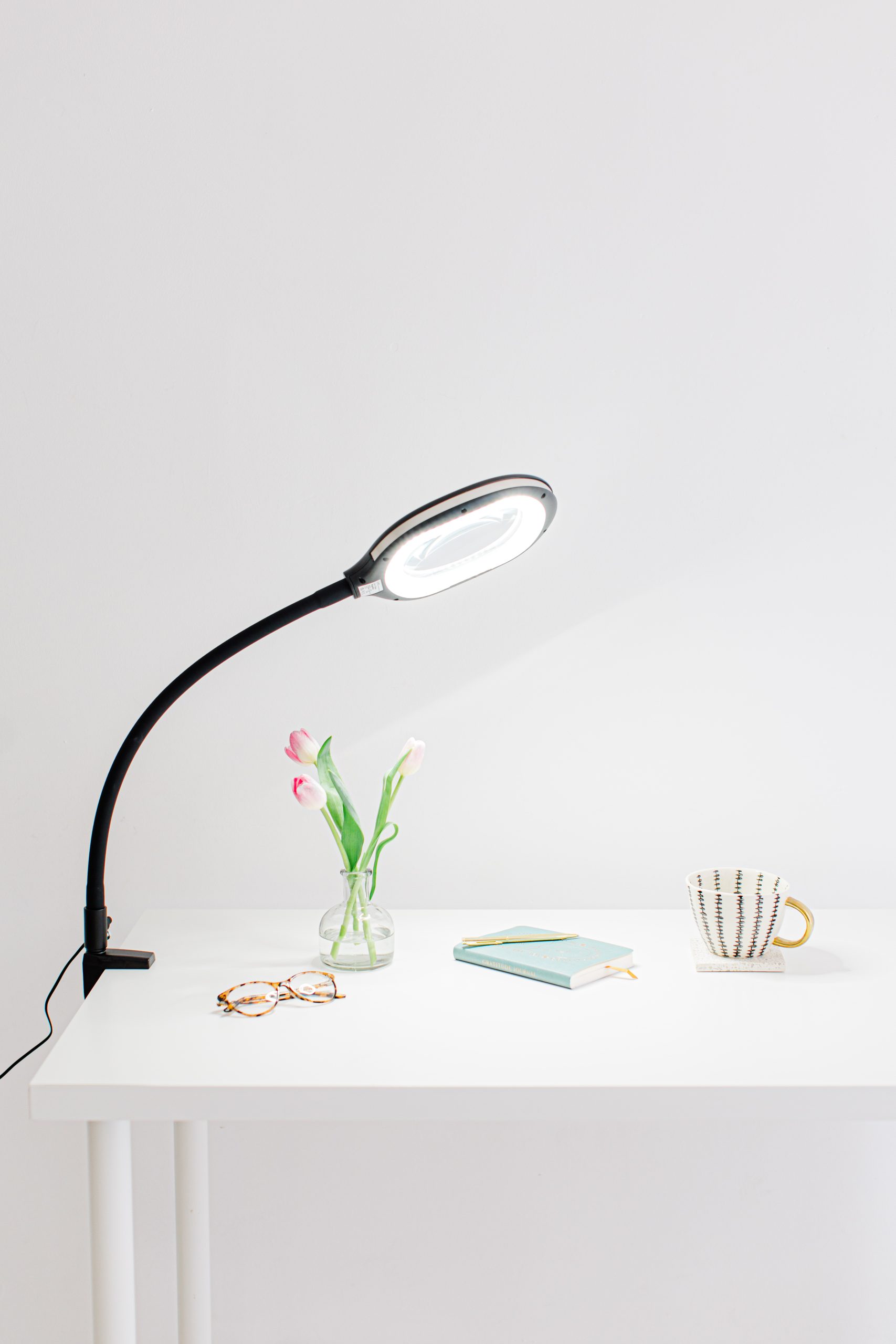 3-in-1 Floor Standing Magnifier - Image 3